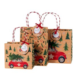 Gift bag set ORGANICS kraft paper Christmas Driving home