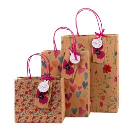 Gift bag set ORGANICS kraft paper wild flowers hearts