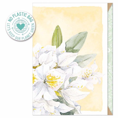 Greeting card magnolia