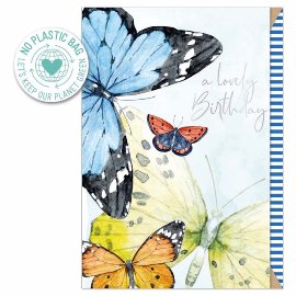 Geburtstagskarte Schmetterlinge