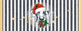 Weihnachtskarte Hund Weihnachtsmütze