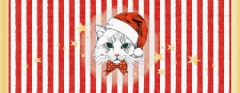 Weihnachtskarte Katze Weihnachtsmütze