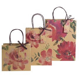 Gift bag set Organics kraft paper blossoms